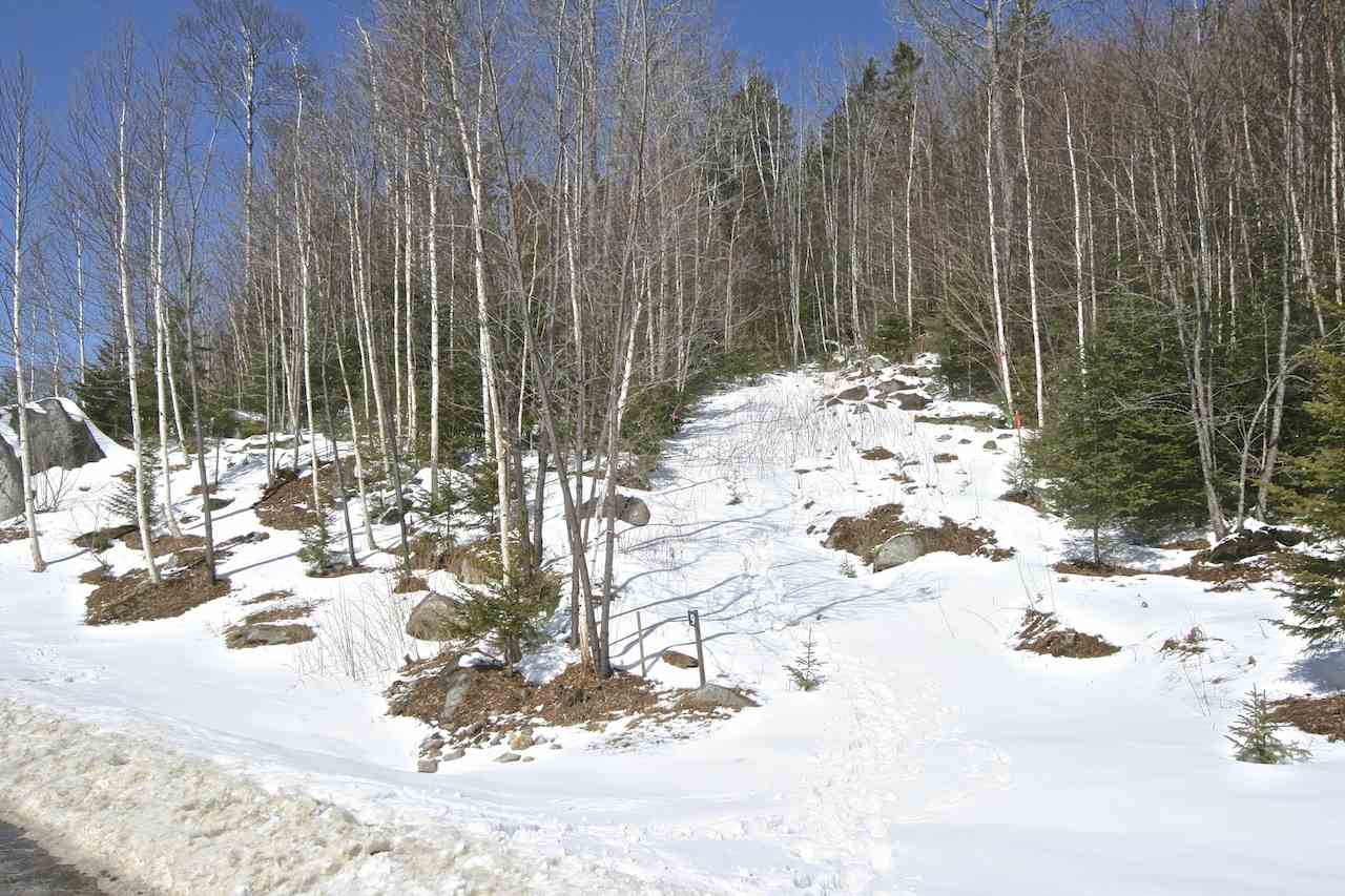Dartmouth Ridge Road, Unit 9 Twin Mountain, NH 03595 - Photo 6 of 11 Gallery Image 6