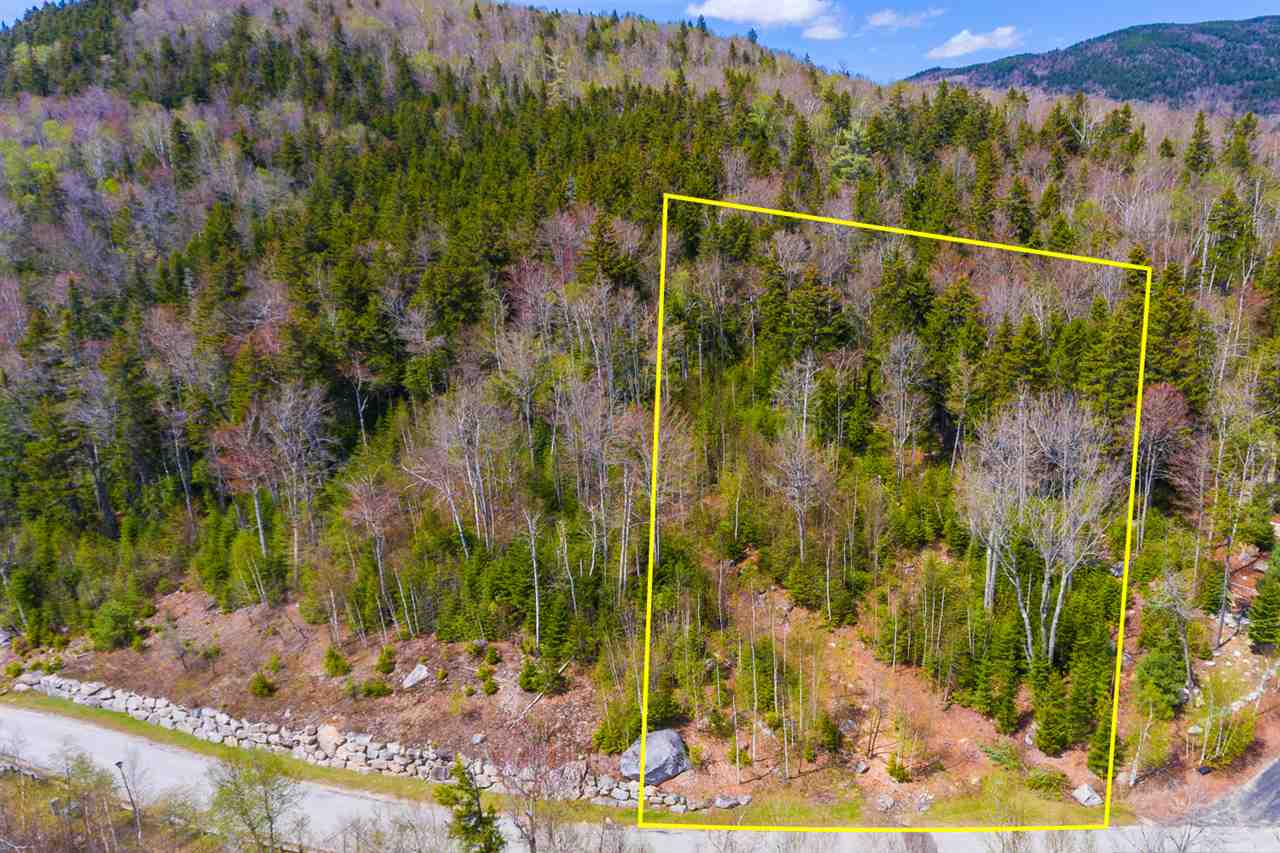 Dartmouth Ridge Road, Unit 9 Twin Mountain, NH 03595 - Photo 8 of 11 Gallery Image 8