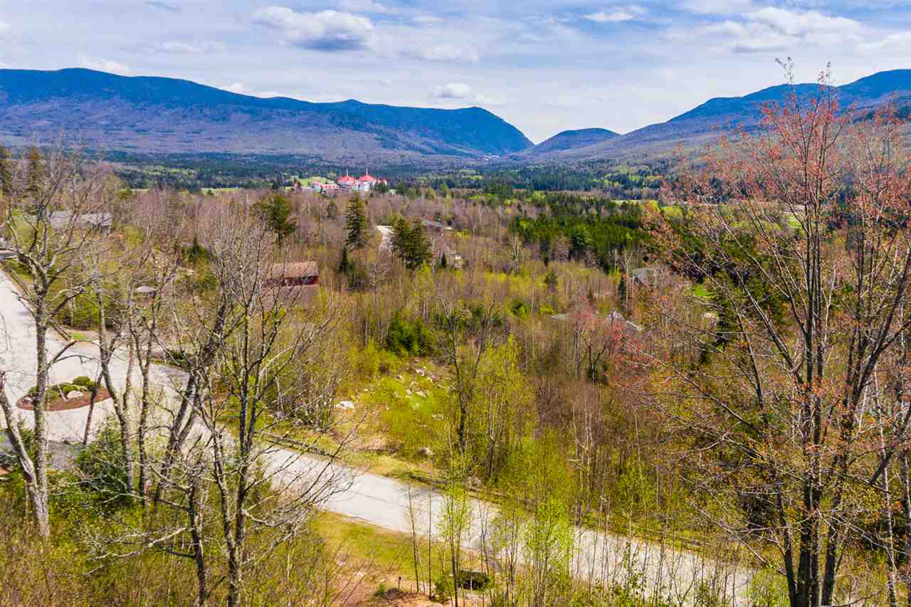 Dartmouth Ridge Road, Unit 9 Twin Mountain, NH 03595 - Photo 9 of 11 Gallery Image 9