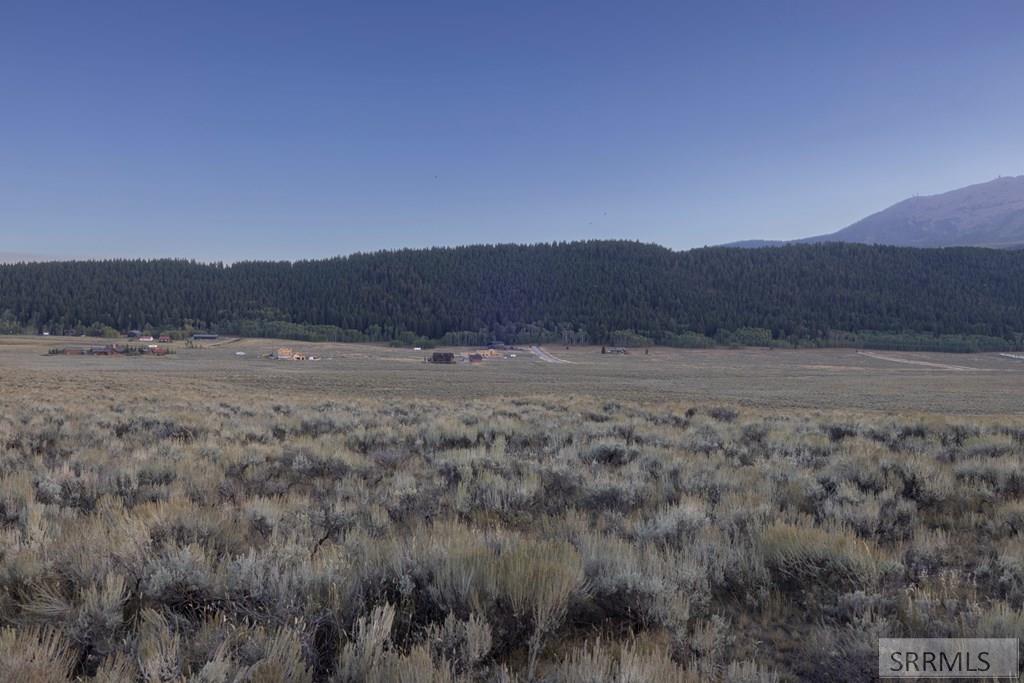 3727 Red Rock Road Island Park, ID 83429 - Photo 4 of 32