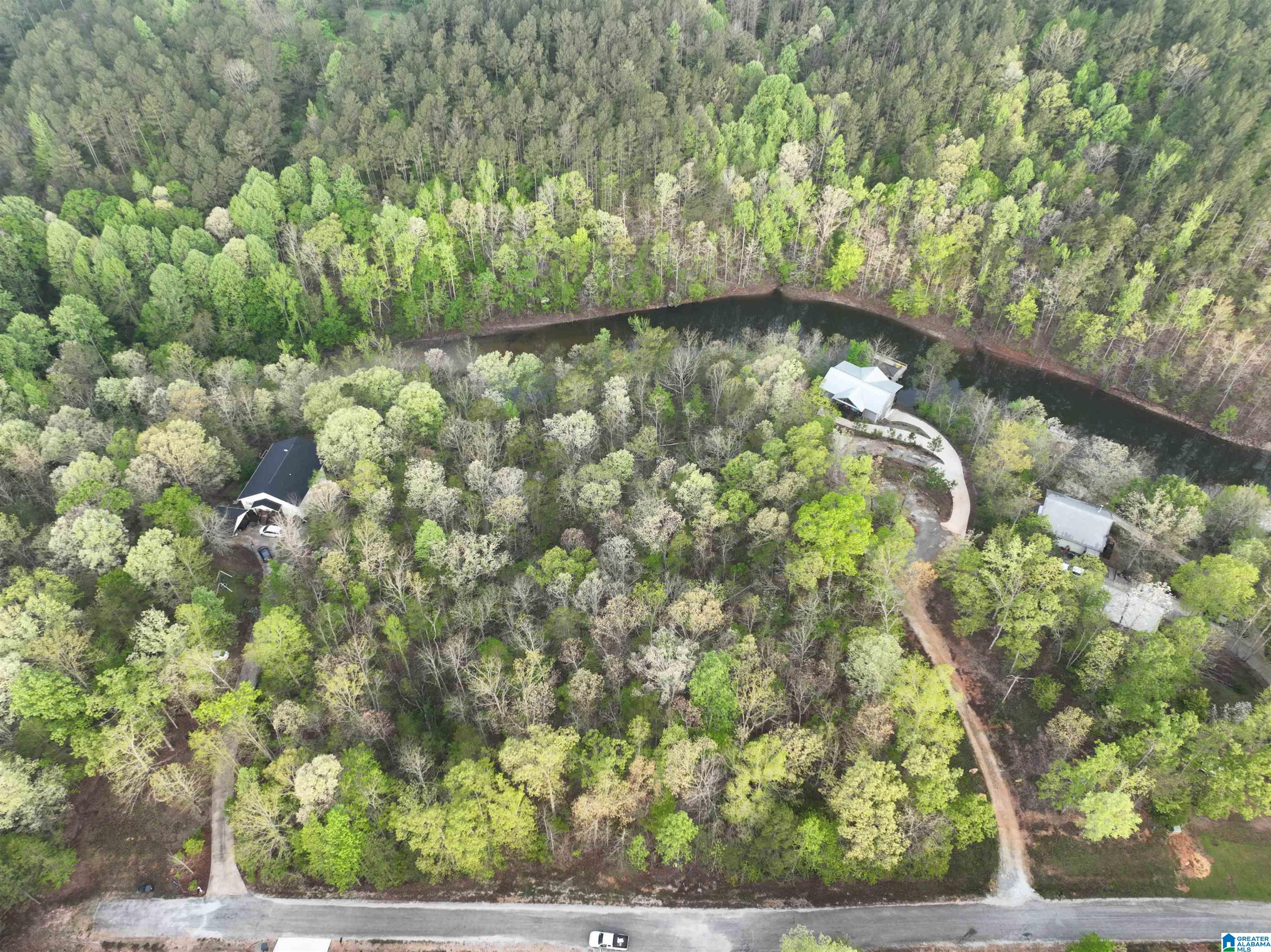 Lot 5 Dogwood Ridge, Unit LOT 5 Wedowee, AL 36278 - Photo 4 of 12