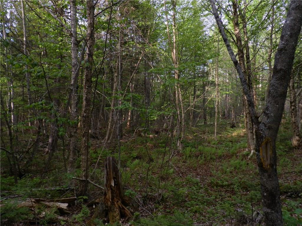 0 Bottle Lake Road Springfield, ME 04487 - Photo 10 of 25 Photo