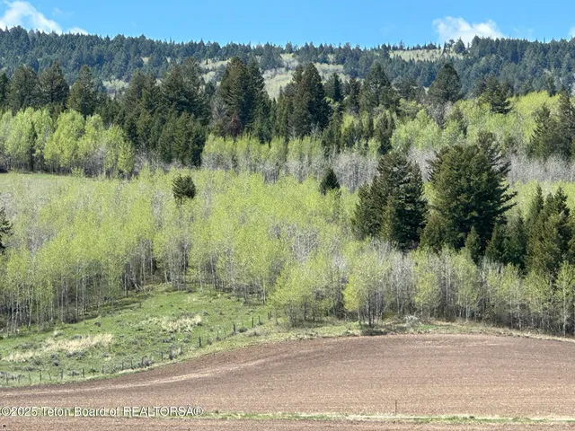 $89,000 | 8740 Fawn Ridge Lane, Tetonia, ID 83452