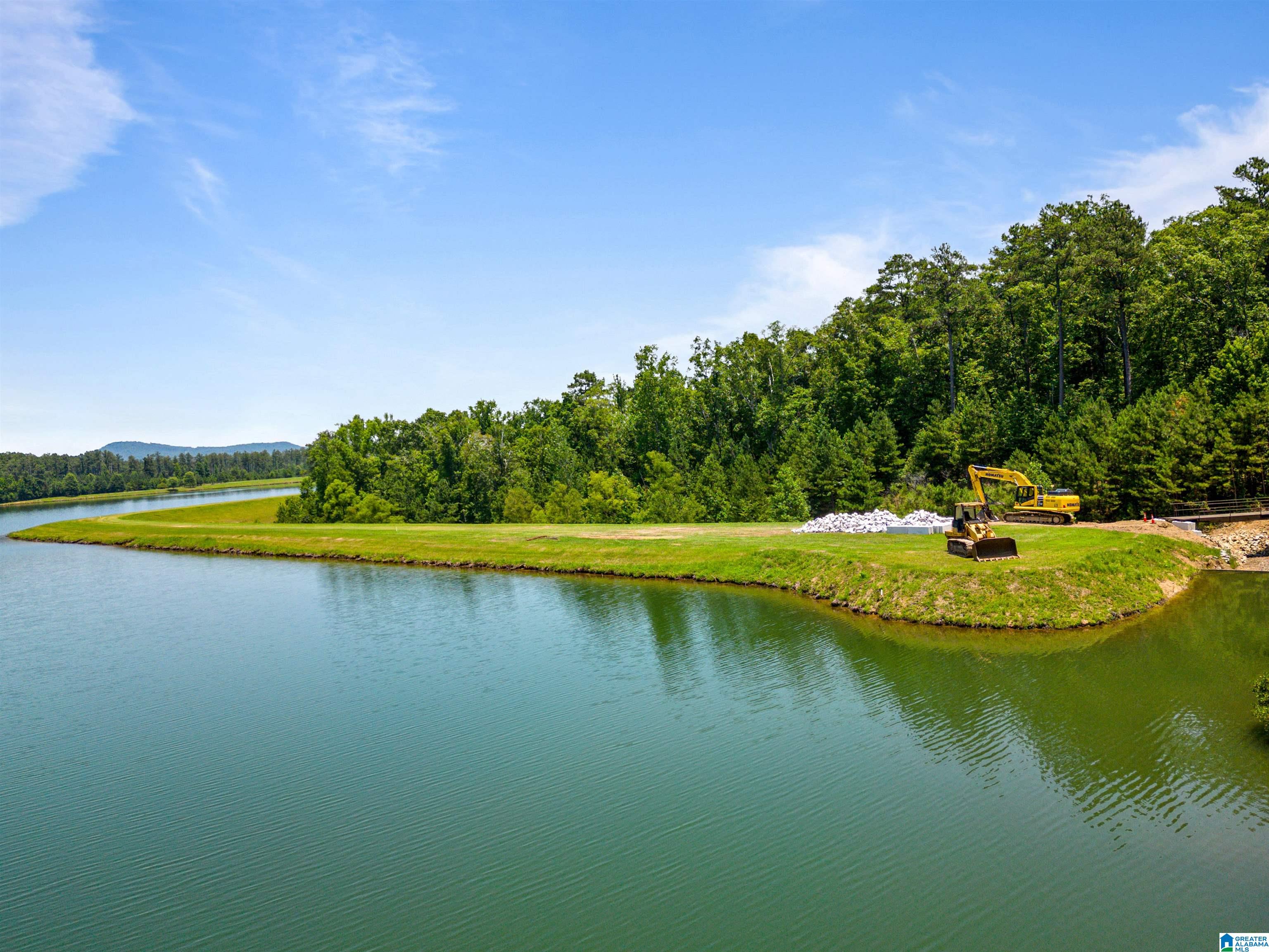 Lot 19 Saunders Bridge Road, Unit 19 Sterrett, AL 35147 - Photo 7 of 31 Gallery Image 7