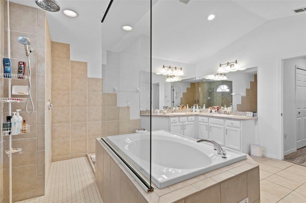 4061 Misty View Drive Spring Hill, FL 34609 - Photo 39 of 70 a bathroom with a tub a sink and mirror
