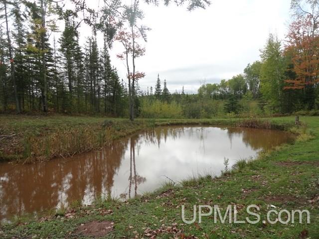15889 Engstrom Road Bruce Crossing, MI 49912 - Photo 34 of 37 Gallery Image 34