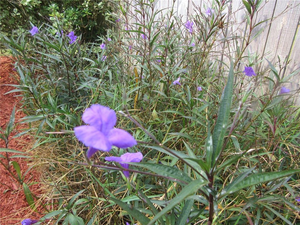 2601 Southeast 175th Terrace Road Silver Springs, FL 34488 - Photo 14 of 87 a bathroom with a sink and a mirror