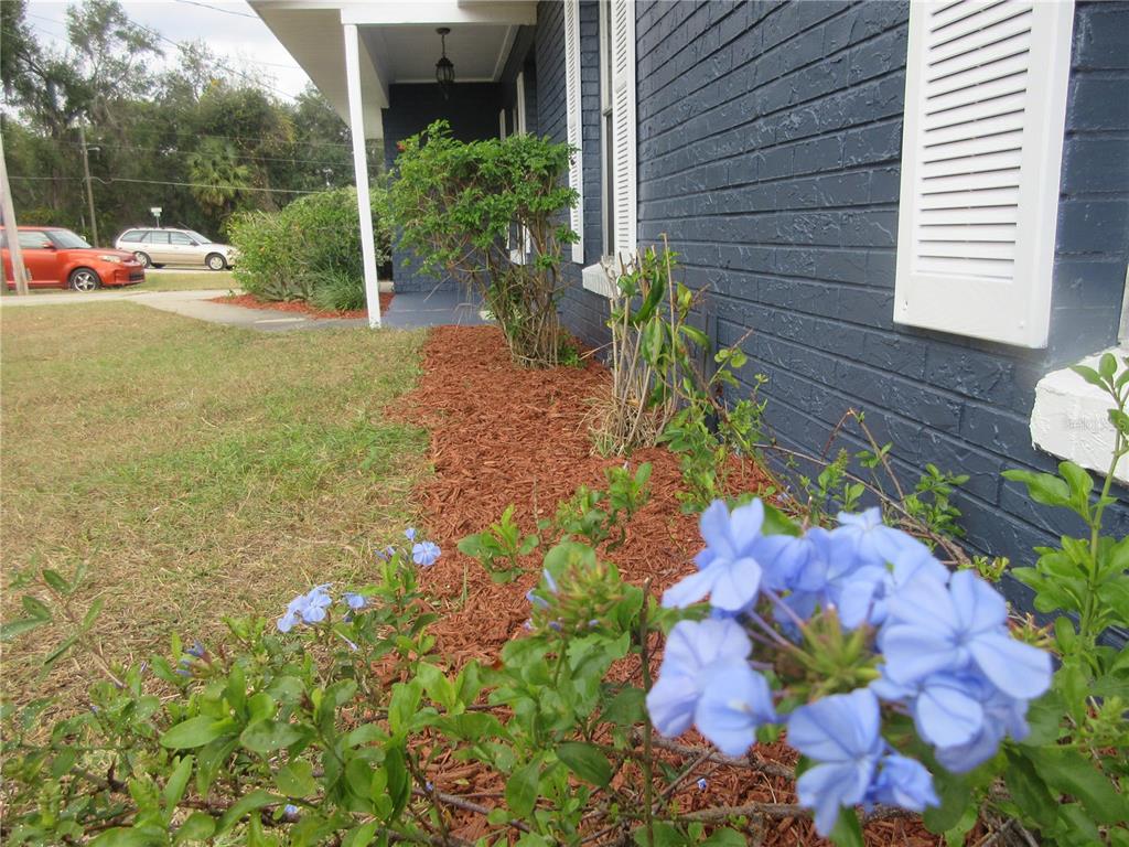 2601 Southeast 175th Terrace Road Silver Springs, FL 34488 - Photo 16 of 87 a view of a yard with yellow house