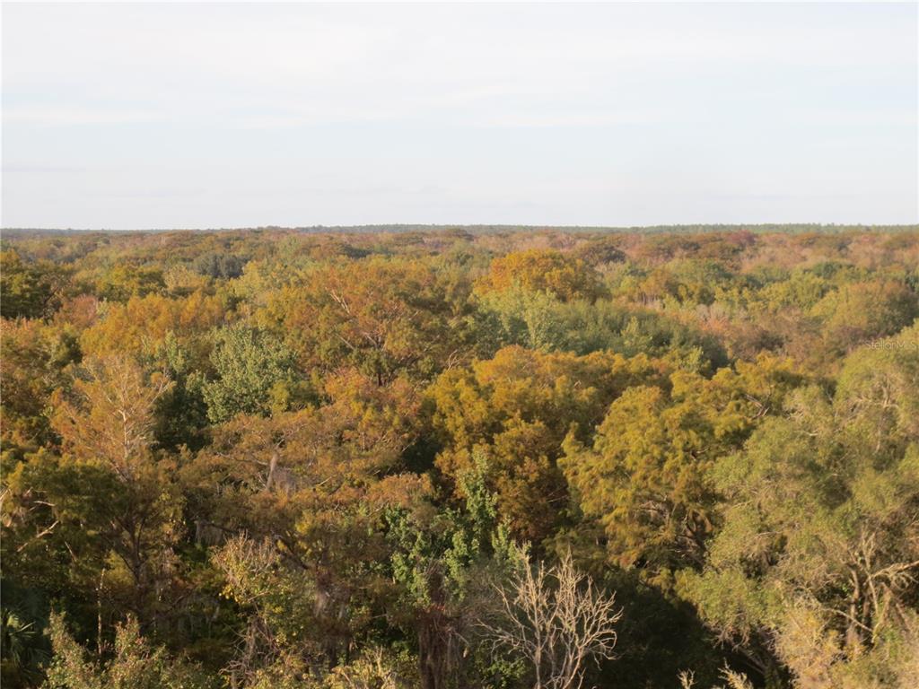 2601 Southeast 175th Terrace Road Silver Springs, FL 34488 - Photo 58 of 87 an aerial view of residential houses with outdoor space