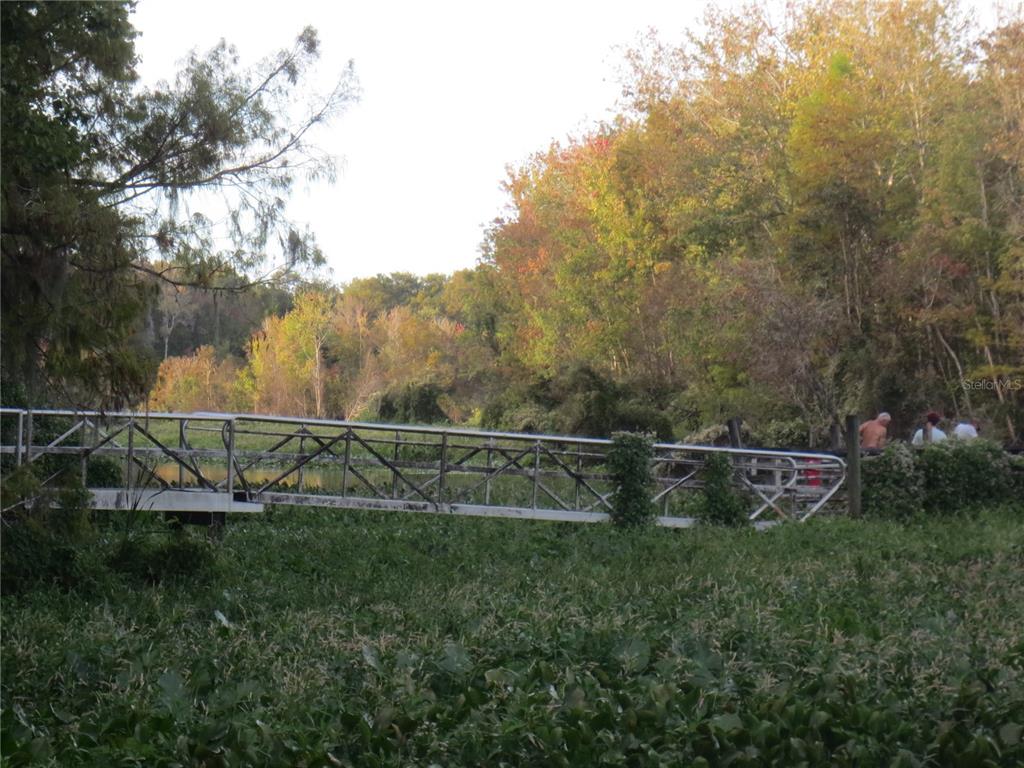 2601 Southeast 175th Terrace Road Silver Springs, FL 34488 - Photo 62 of 87