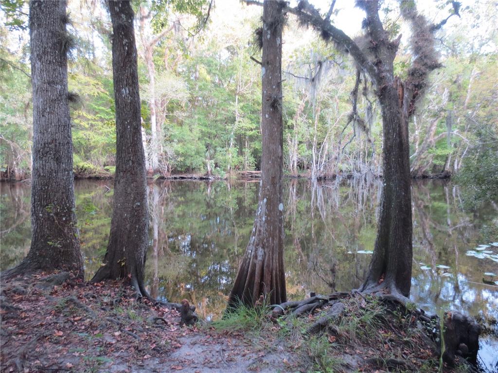 2601 Southeast 175th Terrace Road Silver Springs, FL 34488 - Photo 66 of 87 a backyard of a house with lots of green space and garden