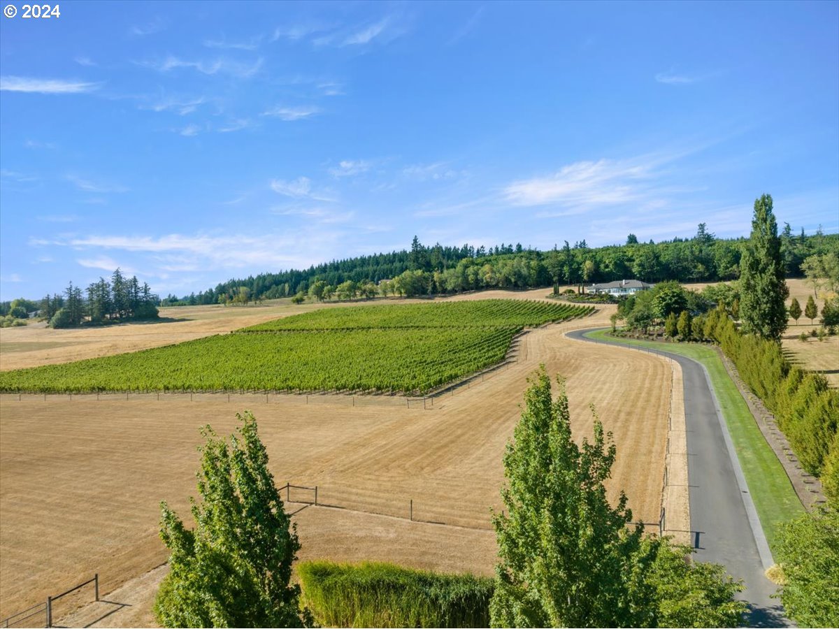 9430 Northwest Kaiser Road Portland, OR 97231 - Photo 3 of 48