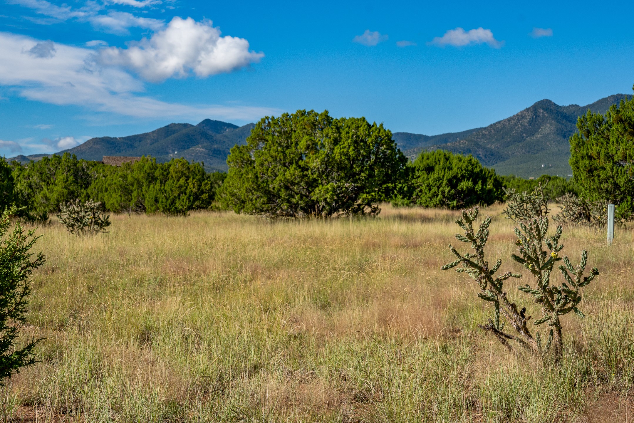 95 Grenfell Ranch Road Cerrillos, NM 87010 - Photo 1 of 47