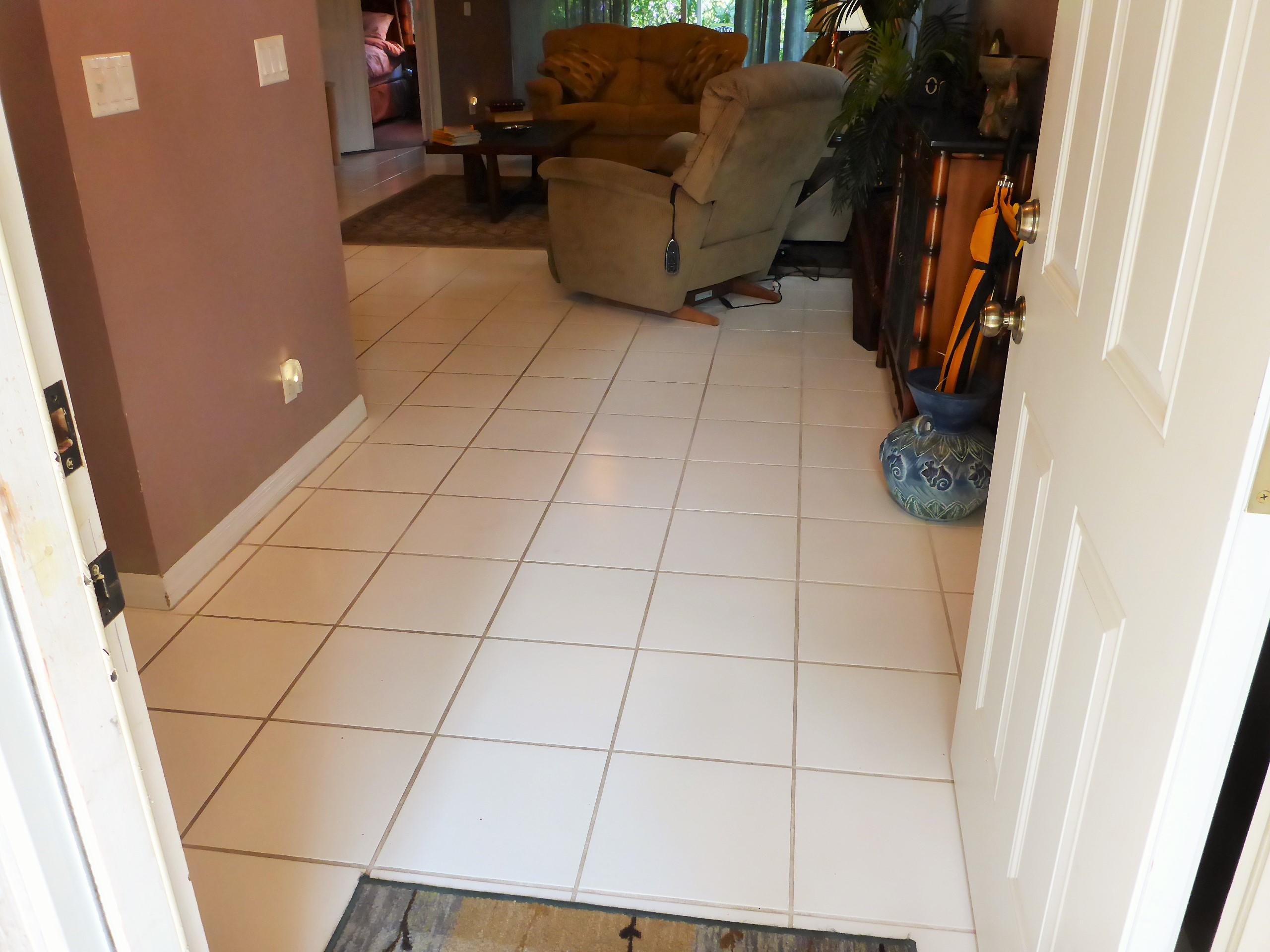 4009 Dorado Drive Riviera Beach, FL 33418 - Photo 3 of 50 P1020237