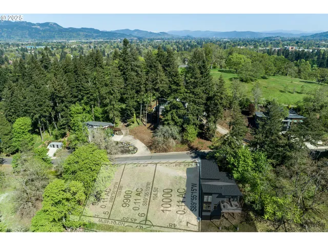 a view of a forest with a mountain