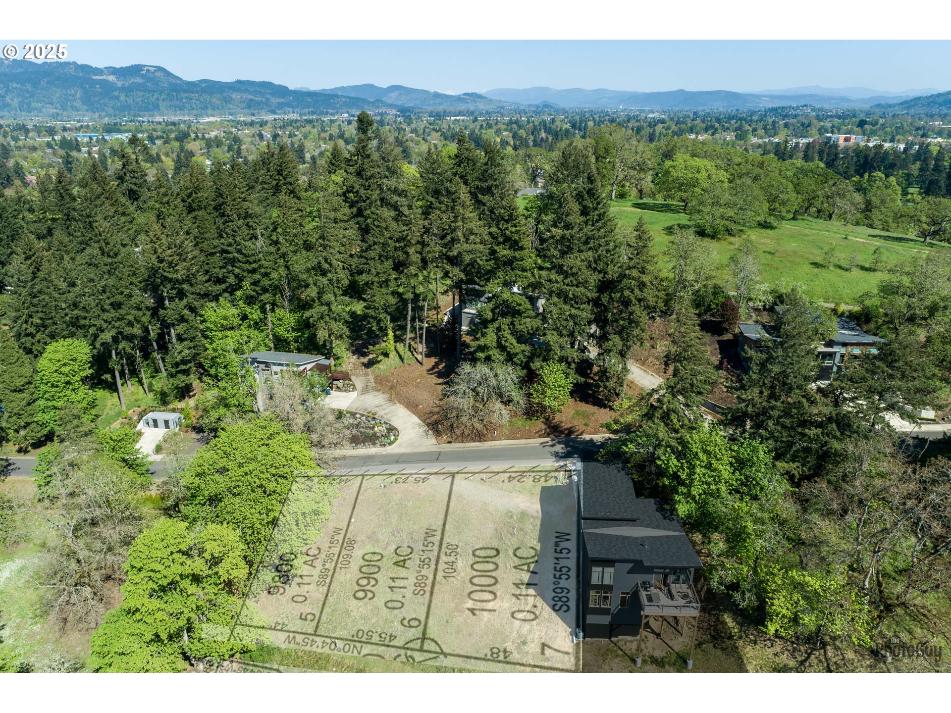 a view of a forest with a mountain