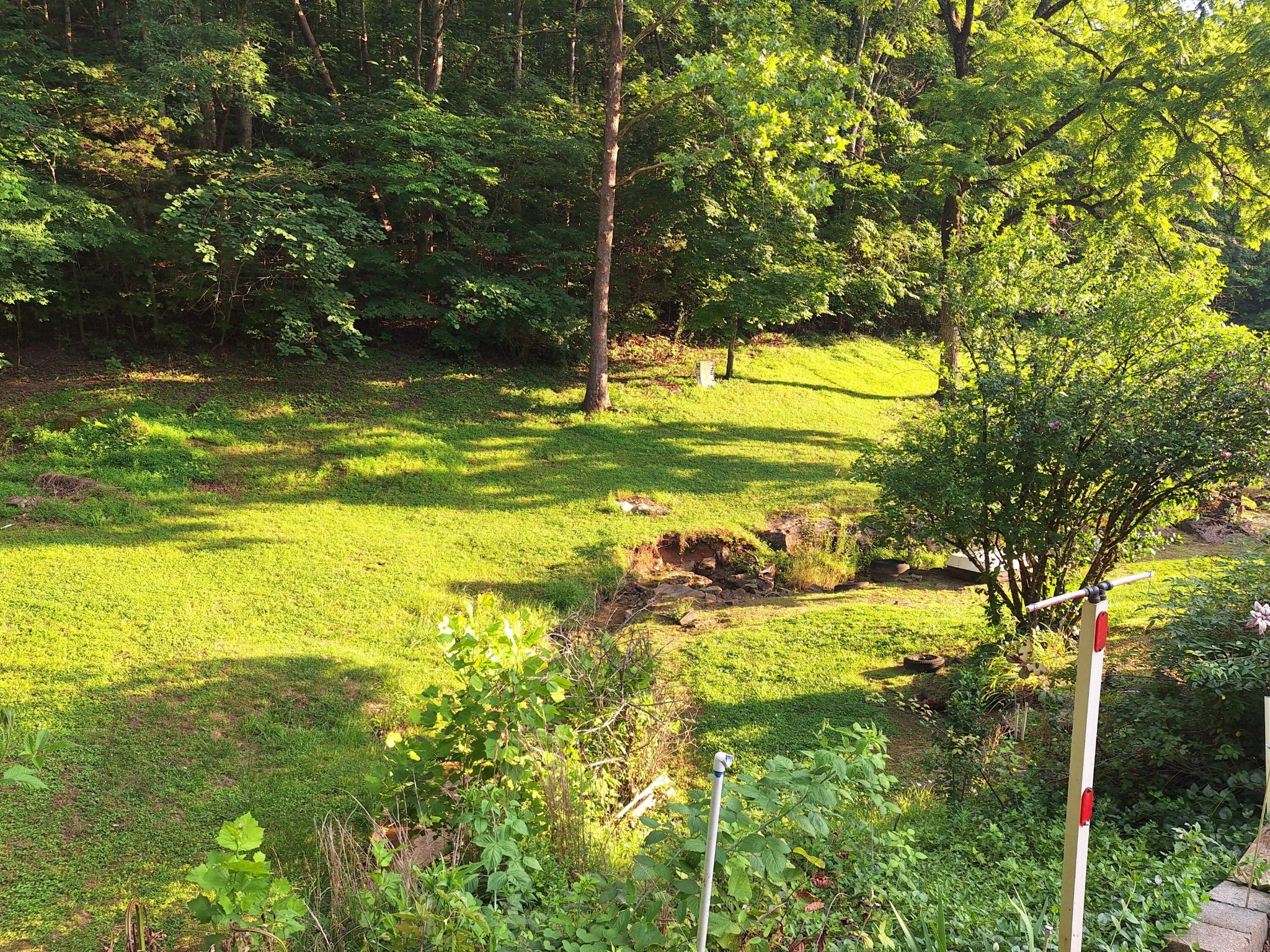 948 Wilson Station Road Englewood, TN 37329 - Photo 11 of 37