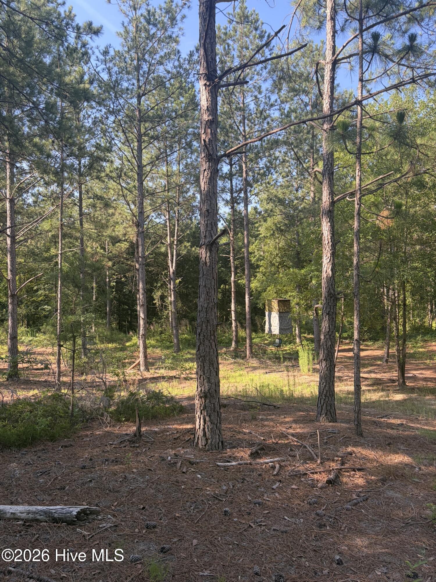 Tbd Jones Spring Church Road Ellerbe, NC 28338 - Photo 16 of 29