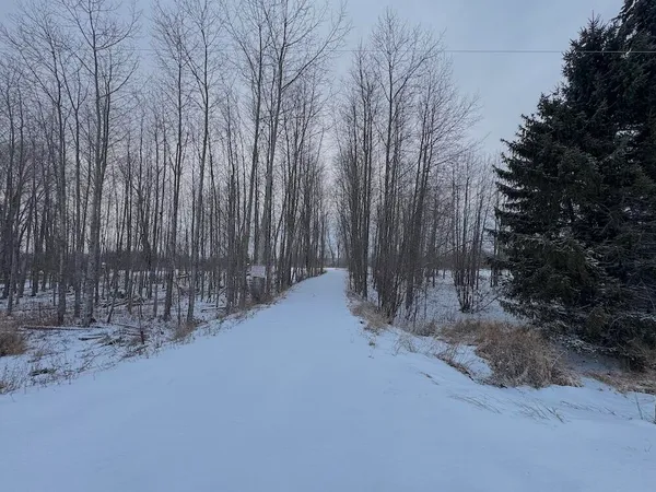 $49,900 | 1.5-acres Alabaster Road, Tawas City, MI 48763