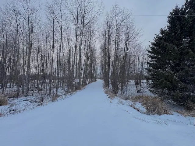 $49,900 | 1.5-acres Alabaster Road, Tawas City, MI 48763