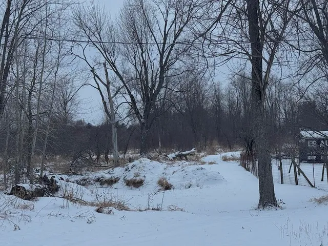 $49,900 | 1.5-acres Alabaster Road, Tawas City, MI 48763