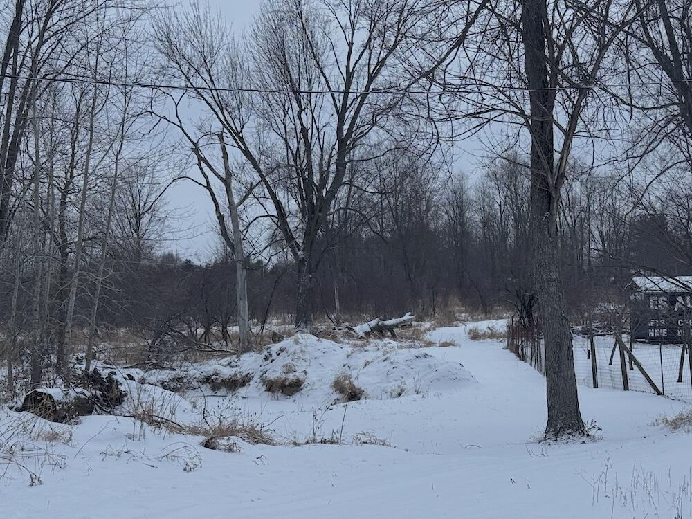 1.5-acres Alabaster Road Tawas City, MI 48763 - Photo 11 of 19 IMG_8745