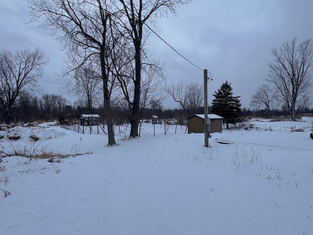 1.5-acres Alabaster Road Tawas City, MI 48763 - Photo 13 of 19 IMG_8747