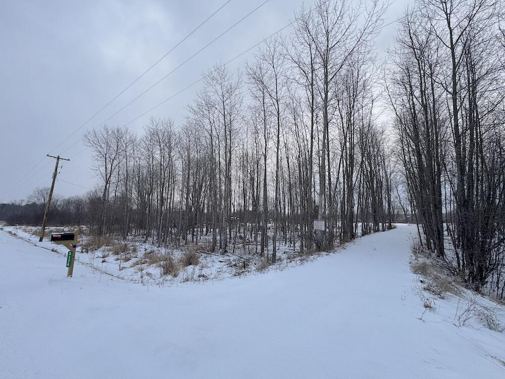 1.5-acres Alabaster Road Tawas City, MI 48763 - Photo 2 of 19 2