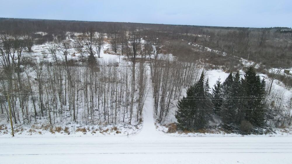 1.5-acres Alabaster Road Tawas City, MI 48763 - Photo 5 of 19 DJI_0426