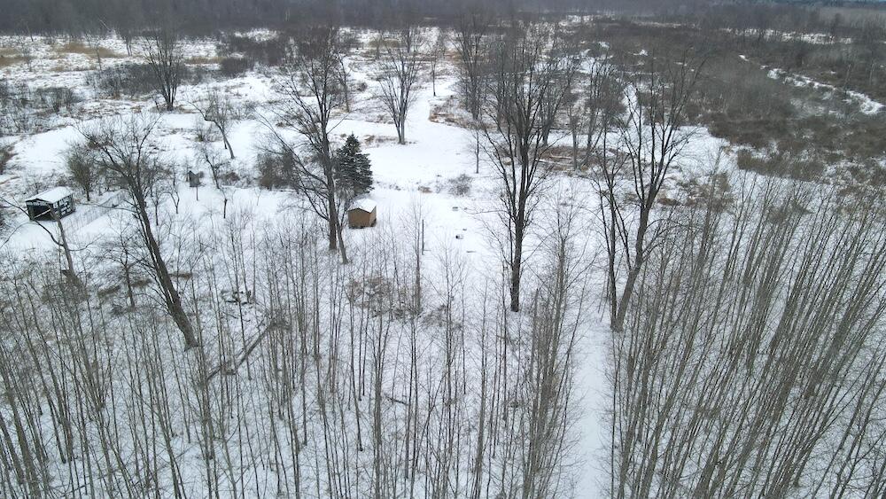 1.5-acres Alabaster Road Tawas City, MI 48763 - Photo 6 of 19 DJI_0427