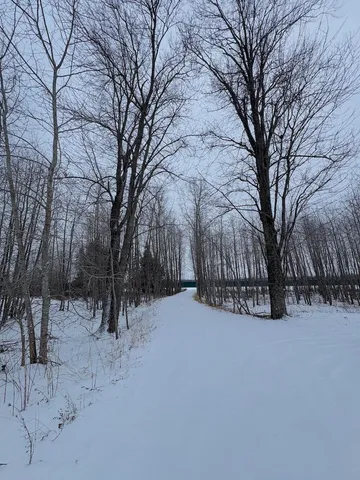 $49,900 | 1.5-acres Alabaster Road, Tawas City, MI 48763