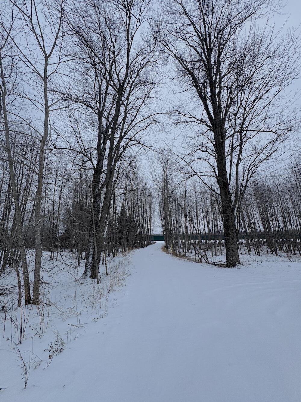 1.5-acres Alabaster Road Tawas City, MI 48763 - Photo 10 of 19 IMG_8744