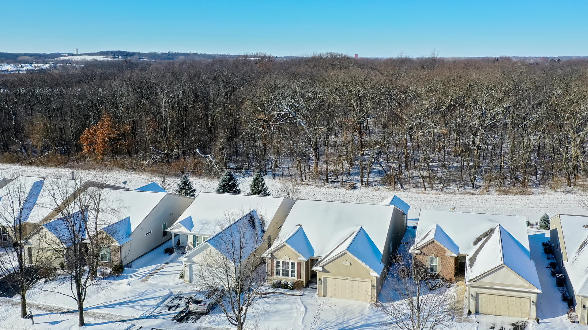11833 Ludbury Ridge Huntley, IL 60142 - Photo 31 of 34 Gallery Image 31