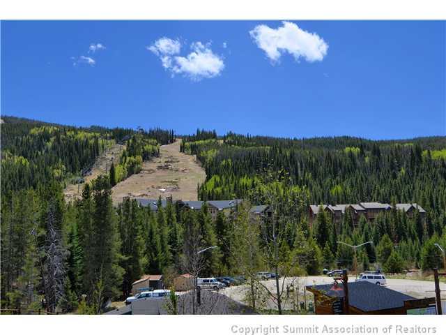 195 River Run Road, Unit 8037 Dillon, CO 80435 - Photo 8 of 25 a view of a yard