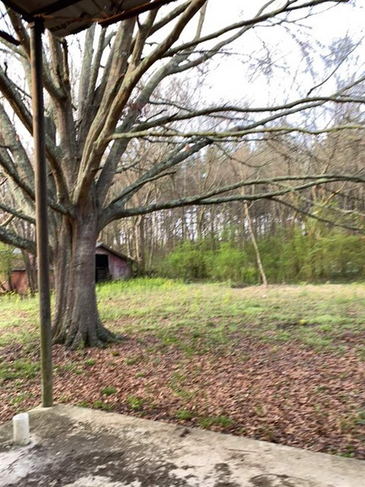 4613 South Siwell Road Jackson, MS 39212 - Photo 6 of 19 Photo 6