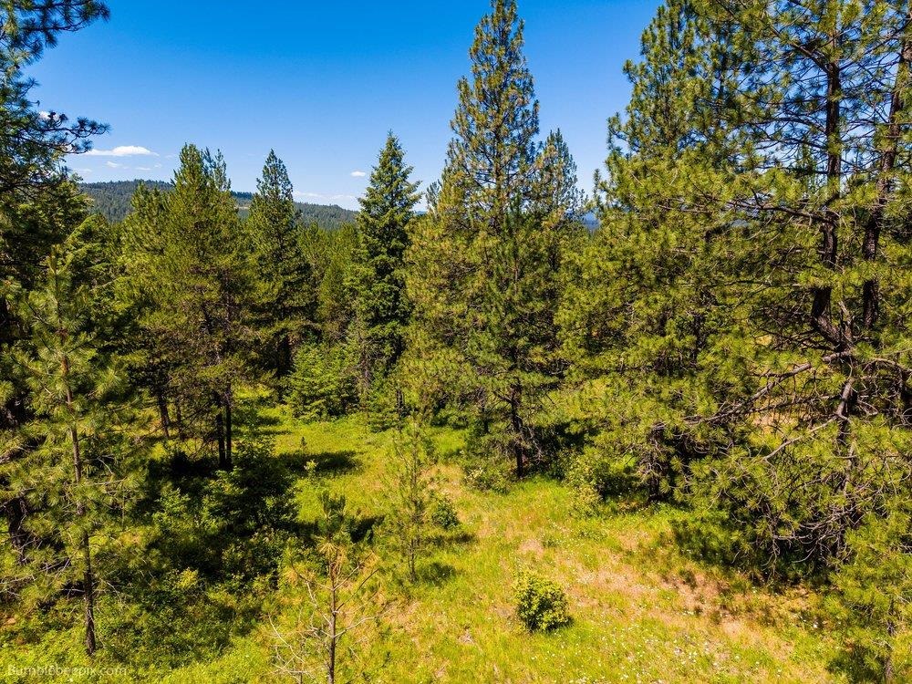10307 Jasmine Lane Chattaroy, WA 99003 - Photo 25 of 49