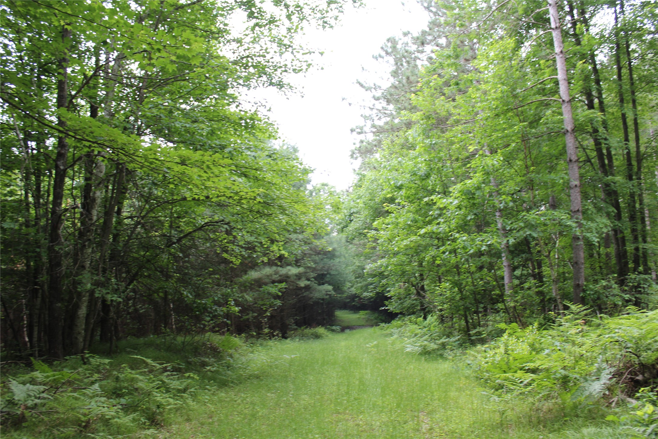 0 Rouse Road Neillsville, WI 54456 - Photo 15 of 27