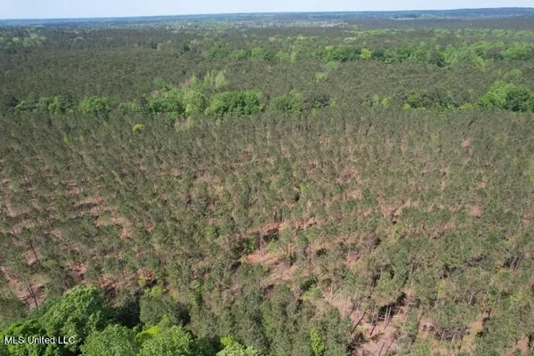 $215,000 | 5033 Co Road, Heidelberg, MS 39439