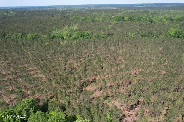 $215,000 | 5033 Co Road, Heidelberg, MS 39439