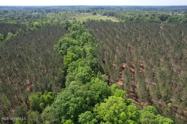 $215,000 | 5033 Co Road, Heidelberg, MS 39439