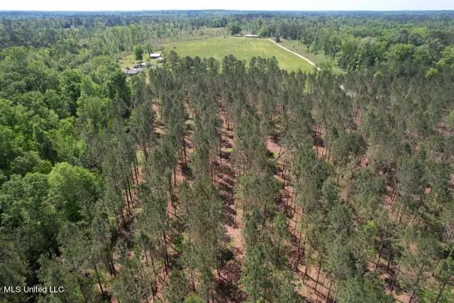 $215,000 | 5033 Co Road, Heidelberg, MS 39439