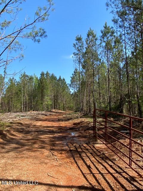 5033 Co Road Heidelberg, MS 39439 - Photo 15 of 39 Photo Apr 04 2023, 10 41 15 AM