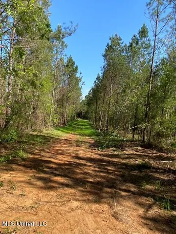 $215,000 | 5033 Co Road, Heidelberg, MS 39439