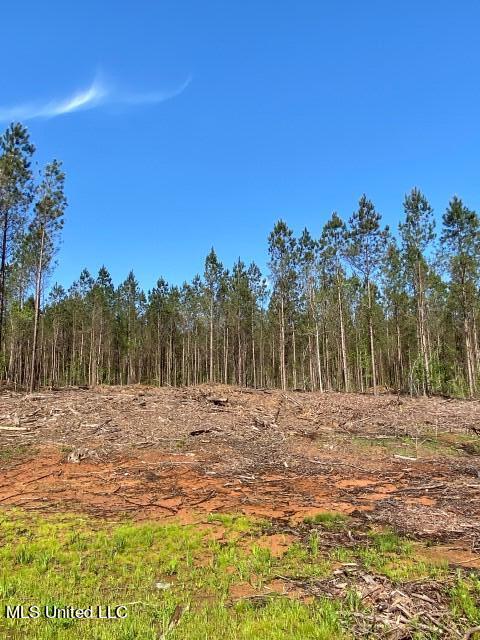 5033 Co Road Heidelberg, MS 39439 - Photo 17 of 39 Photo Apr 04 2023, 10 43 35 AM