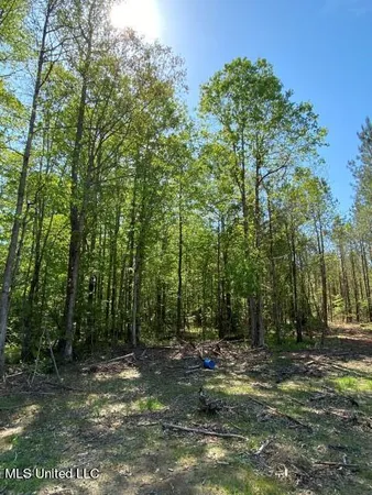 $215,000 | 5033 Co Road, Heidelberg, MS 39439