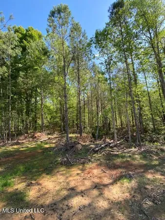 $215,000 | 5033 Co Road, Heidelberg, MS 39439