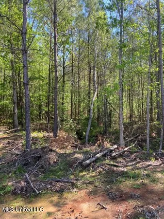 $215,000 | 5033 Co Road, Heidelberg, MS 39439