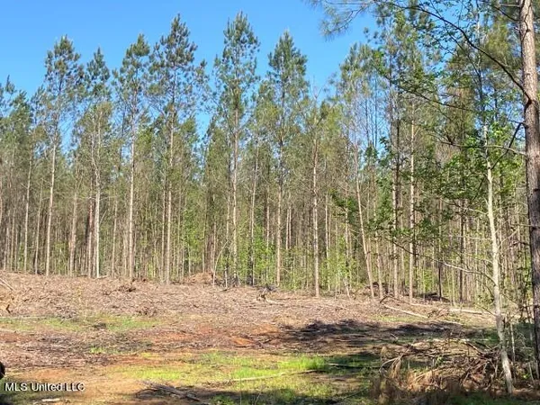 $215,000 | 5033 Co Road, Heidelberg, MS 39439