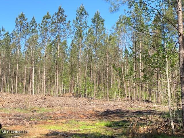 5033 Co Road Heidelberg, MS 39439 - Photo 21 of 39 Photo Apr 04 2023, 10 44 52 AM