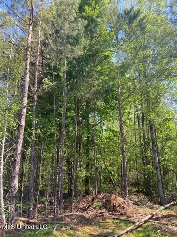 $215,000 | 5033 Co Road, Heidelberg, MS 39439